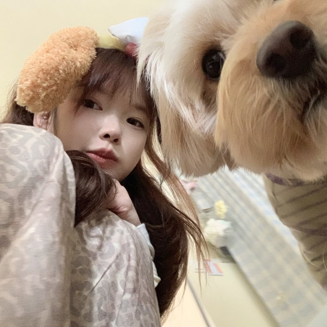 Muzze || Art & History Museum